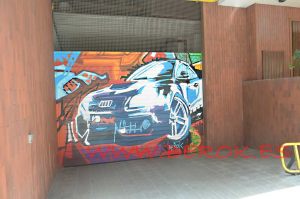Graffiti Puerta Parking Coche Colorines 300x100000