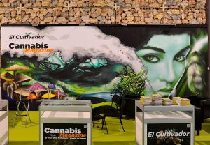 Decoracion Graffiti Pintura Mural Cannabis Evento 300x100000