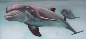 Mural Delfin 300x100000