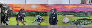 Graffiti Mural Perros Mascotas Pau Girona 300x100000