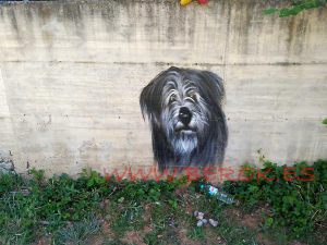 Retrato Perro Graffiti 300x100000