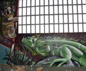mural-iguana-y-koala