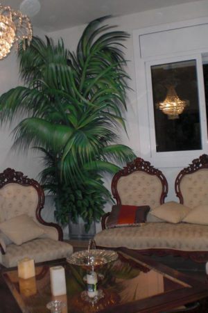 Decoracion Mural Salon Planta 300x100000