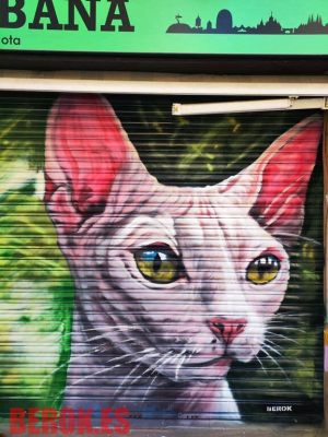 Graffiti Mural Gato Esfinge Sphynx Egipcio 300x100000