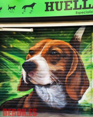 Graffiti Mural Perro Beagle 300x100000