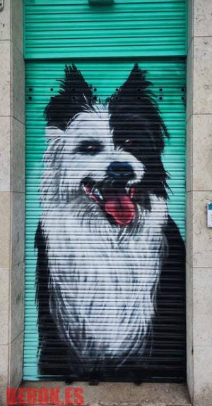 Graffiti Perro Persiana 300x100000