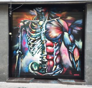Graffiti Persiana Fisioterapia Rehabilitacion Centro Salud Esqueleto Anatomia Musculos Cuerpo Humano 300x100000