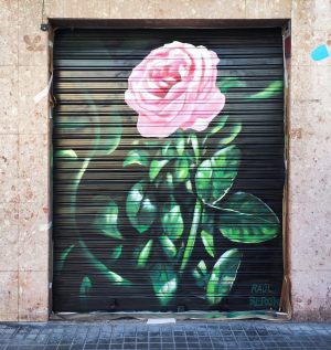 Graffiti Persiana Rosa Floristeria 300x100000