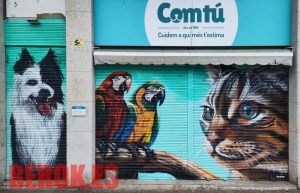 Graffiti Persiana Tienda Animales Gato Loros Perro 300x100000