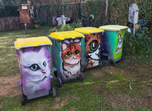 Murales Graffiti Gatos Contenedores 300x100000