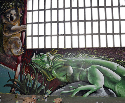 graffiti mural iguana koala