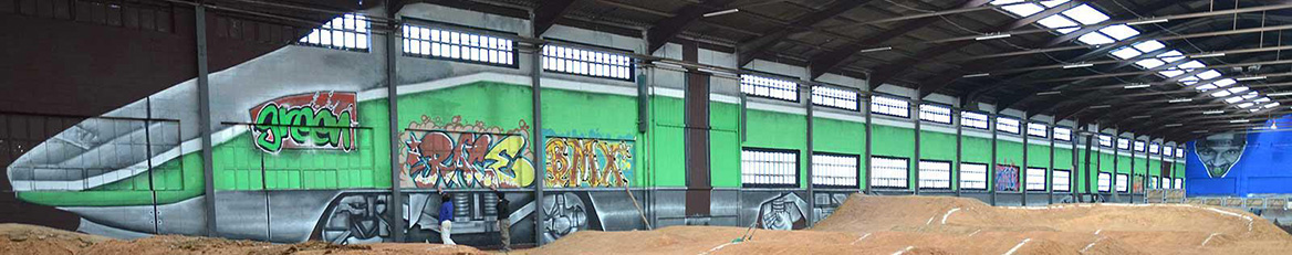 graffiti tren pintado