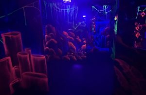 Mural Fondo Marino Fluorescente Laberinto Laser Tag 300x100000