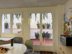 Mural Plantas Trampantojo Enredaderas Patio Interior 300x100000