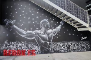 Murales Para Gimnasio Blanco Y Negro 300x100000