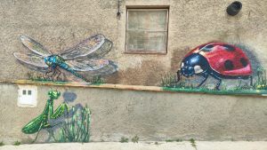 Graffiti Mariquita Viuda Negra Libelula 300x100000