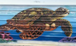 Arte tortuga marina playas de las Salinas y las Gavinas Cubelles