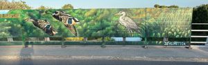 Arte anades reales y garza real en el observatorio de aves del Puente del Foix