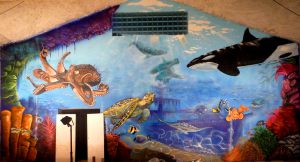 mural-XXL-fondo-marino